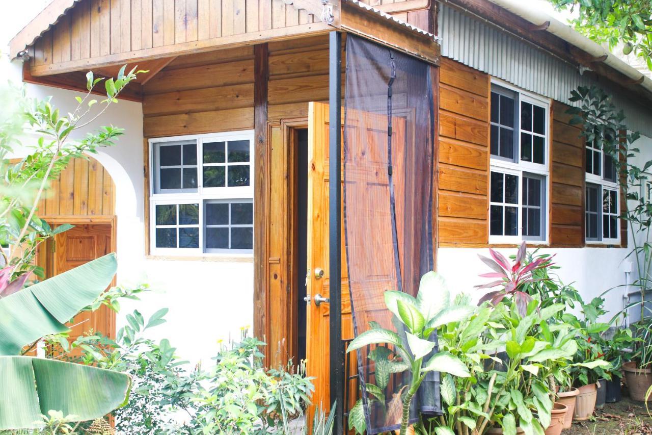 Van Villa Guesthouse Negril Exterior foto
